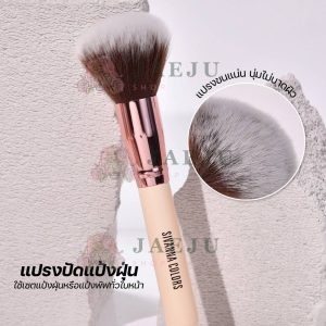Sivanna colors powder brush