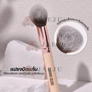 Sivanna colors powder brush