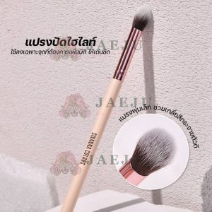 Sivanna colors highlight brush
