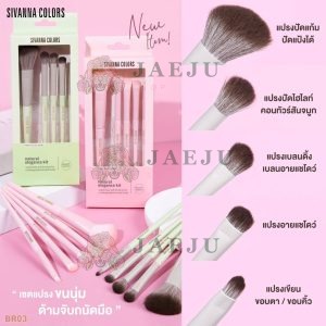 Sivanna colors natural eyegance brush kit ซีเวนน่า คัลเลอร์ส เนเชอรัล เอลละเกินท์ บรัช คิท