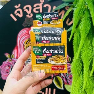 Handy herb แฮนดี้เฮิร์บ ถั่งเช่าสกัด Level Up(2's x 24)