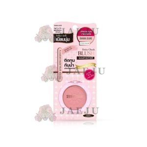 Sivanna colors daisy cheek blush