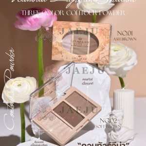 GINA GLAM Natural Light and Shadow Three Colors Contour Powder