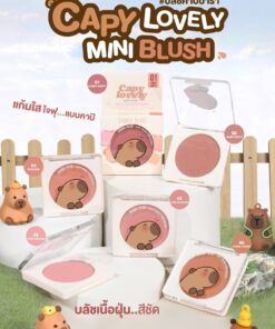Sivanna colors capy lovely mini blush ซีเวนน่า คัลเลอร์ส คาปิ เลิฟลี่ มินิ บรัช 5g.