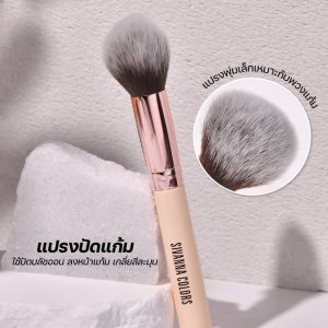 Sivanna colors powder brush