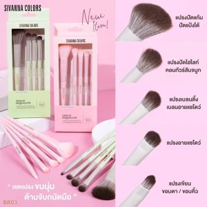 Sivanna colors natural eyegance brush kit ซีเวนน่า คัลเลอร์ส เนเชอรัล เอลละเกินท์ บรัช คิท