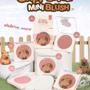 Sivanna colors capy lovely mini blush ซีเวนน่า คัลเลอร์ส คาปิ เลิฟลี่ มินิ บรัช 5g.