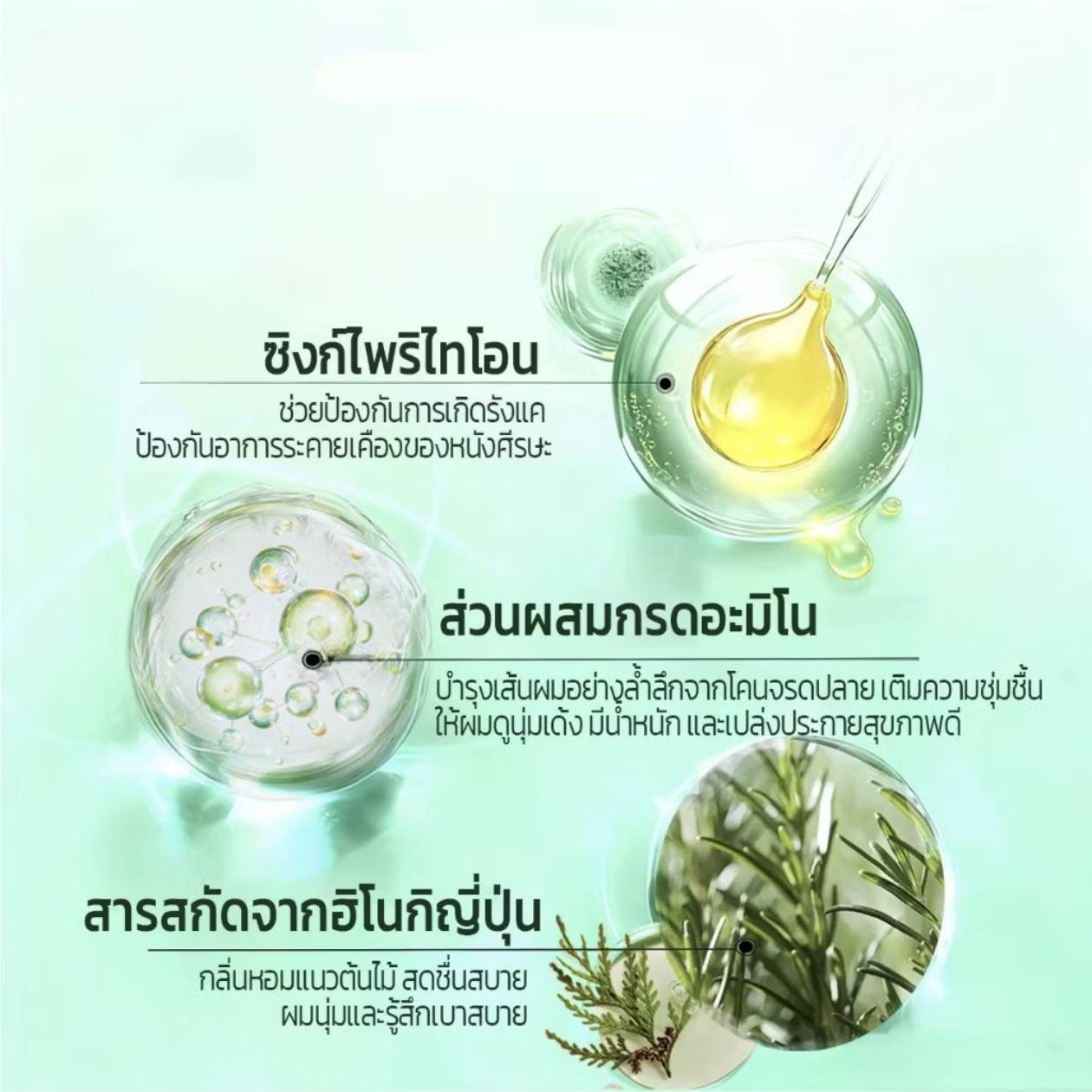 ASAKA chamaecyparis obtusa amino acid shampoo อาซากะ แชมพูขจัดรังแค 500g - Image 9