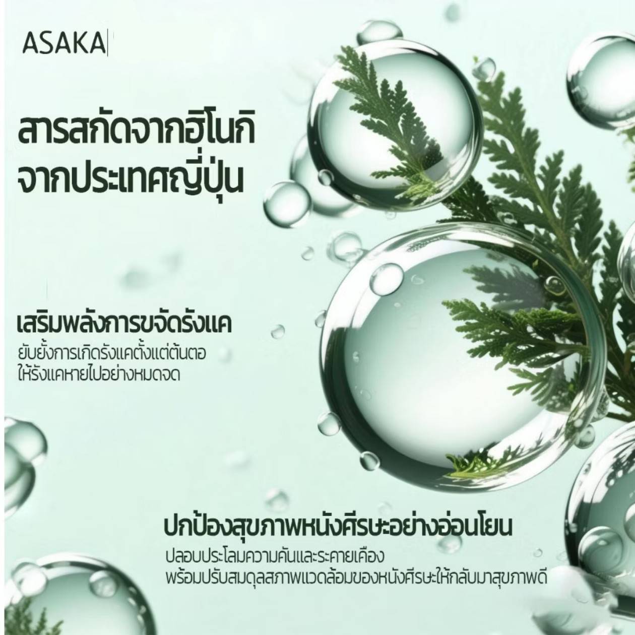 ASAKA chamaecyparis obtusa amino acid shampoo อาซากะ แชมพูขจัดรังแค 500g - Image 10