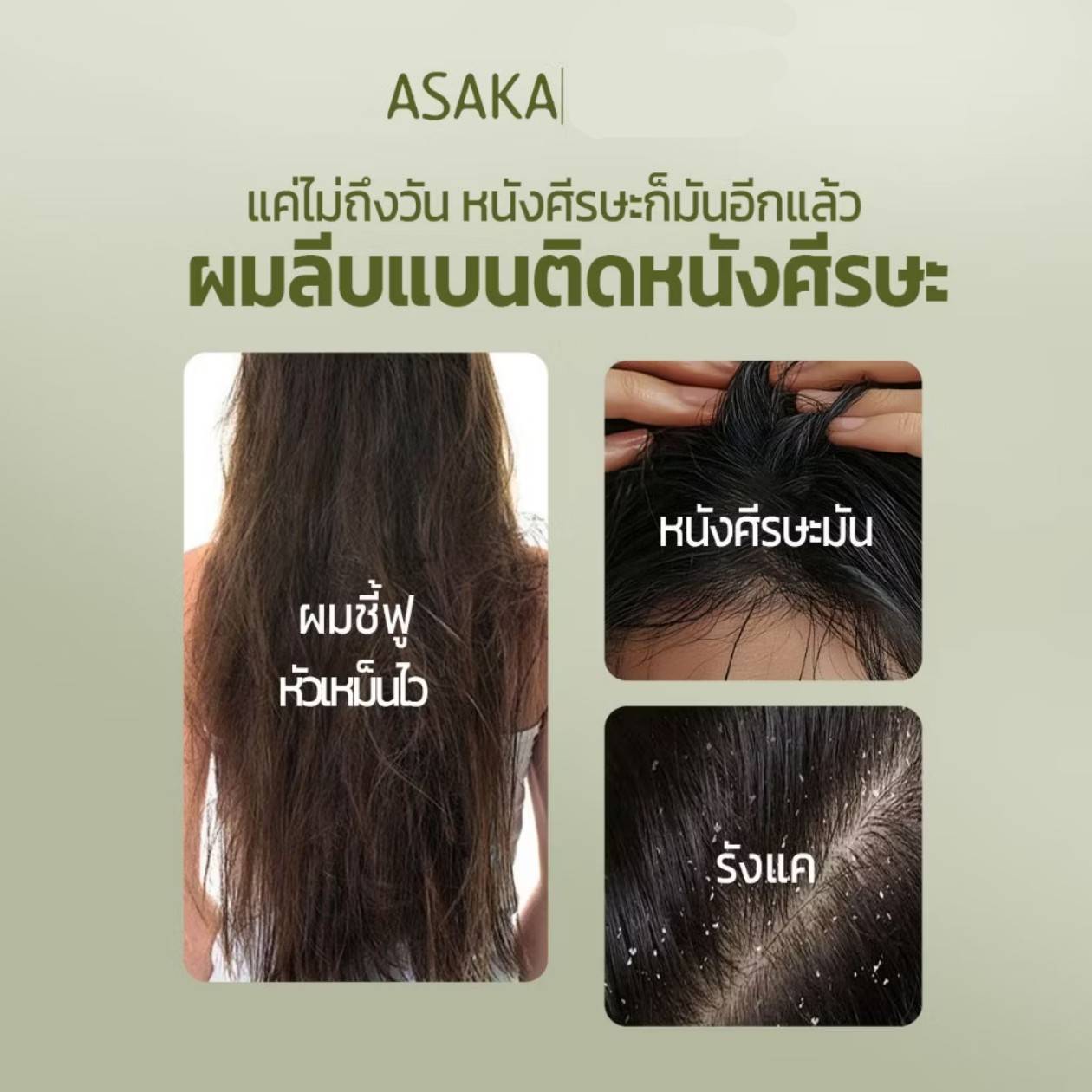 ASAKA chamaecyparis obtusa amino acid shampoo อาซากะ แชมพูขจัดรังแค 500g - Image 12
