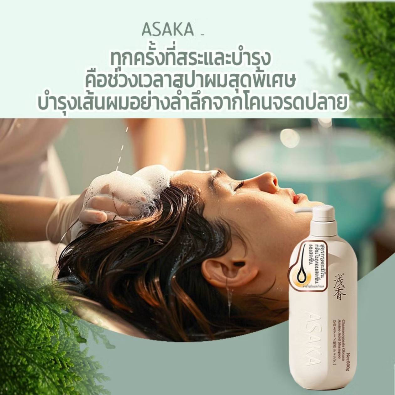ASAKA chamaecyparis obtusa amino acid shampoo อาซากะ แชมพูขจัดรังแค 500g - Image 13