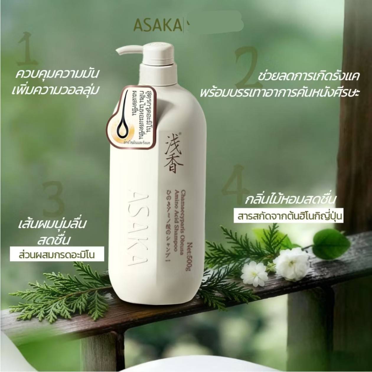 ASAKA chamaecyparis obtusa amino acid shampoo อาซากะ แชมพูขจัดรังแค 500g - Image 14