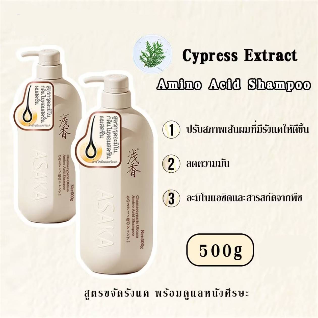 ASAKA chamaecyparis obtusa amino acid shampoo อาซากะ แชมพูขจัดรังแค 500g - Image 15