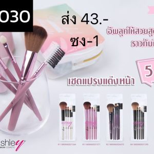 ashley เซ็ทแปรงแต่งหน้า