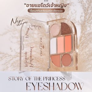 Gina Glam story of the princess eye shadow