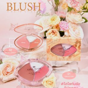 Gina glam hightlight blush palette