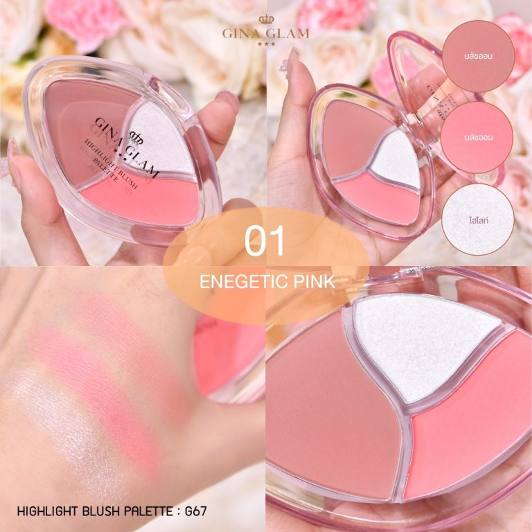 Gina glam hightlight blush palette - NO.1Energetic pink