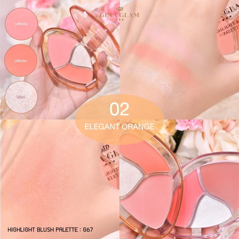 Gina glam hightlight blush palette - NO.2Elegant orange