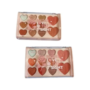 ANYLADY EYESHADOW & BLUSHER PALETTE